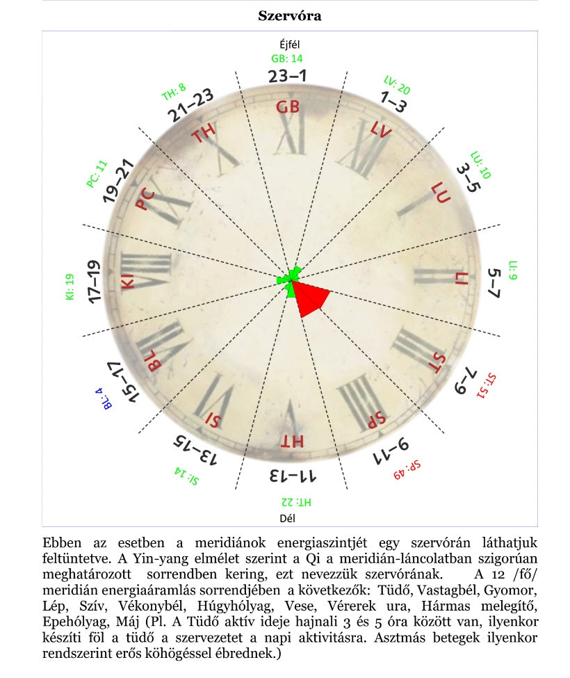Meridián diagnosztika – Hallgasd meg, mit üzen a tested